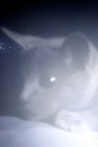 Somos animales movie poster - Entertainment content
