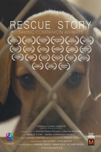 Rescue Story - Saving Companion Animals movie poster - Entertainment content