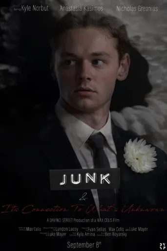 JUNK & Its Connection to What's Unknown movie poster - Rated 10/10