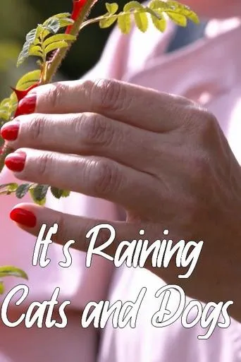 It's Raining Cats and Dogs movie poster - Entertainment content