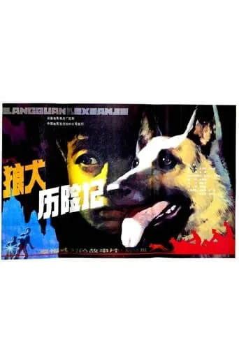 狼犬历险记 movie poster - Entertainment content