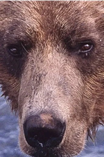 Showdown at Grizzly River movie poster - Entertainment content