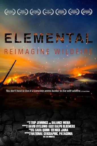 Elemental: Reimagine Wildfire movie poster - Rated 5/10