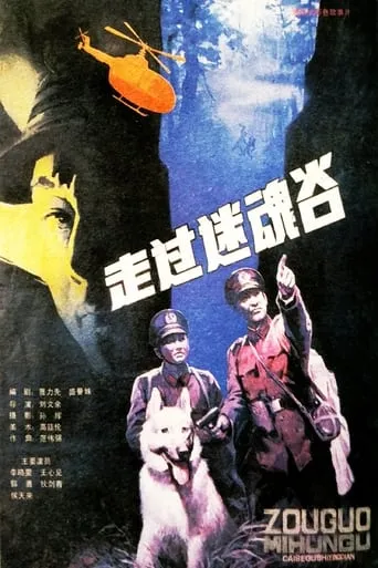 Go Through A Magic Valley movie poster - Entertainment content