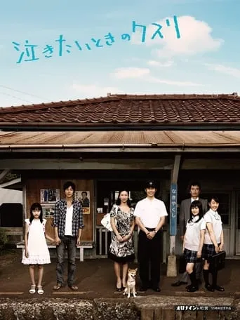 Nakitai toki no kusuri movie poster - Rated 7/10