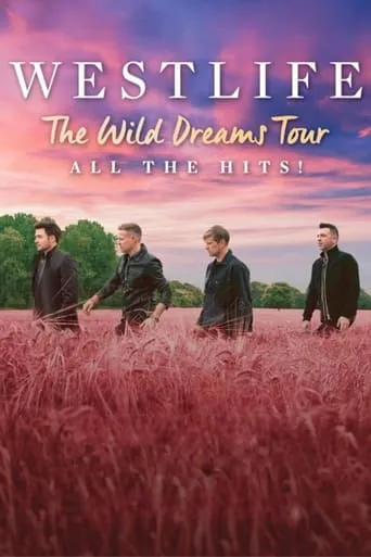 Westlife: The Wild Dreams Tour (Live at Wembley Stadium) movie poster - Entertainment content