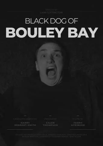 Black Dog of Bouley Bay movie poster - Rated 5/10