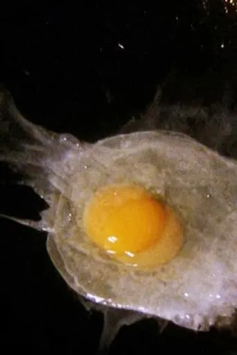 Fried Egg movie poster - Rated 10/10