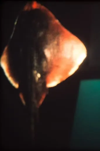 Dream of a Ray Fish movie poster - Rated 10/10