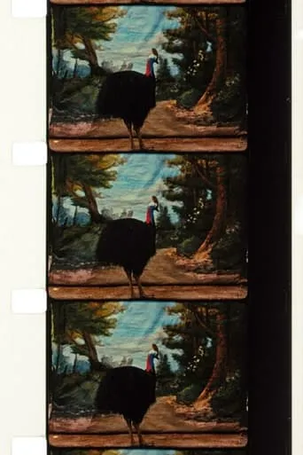 Cassowary movie poster - Rated 10/10