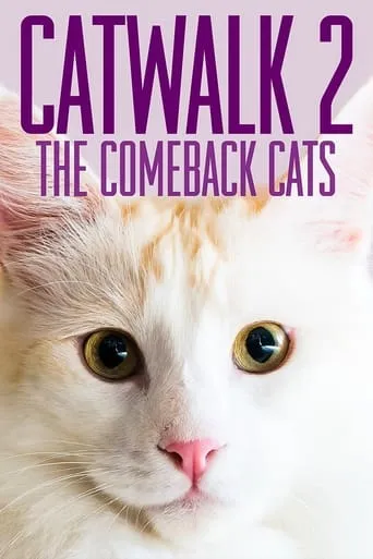 Catwalk 2: The Comeback Cats movie poster - Entertainment content