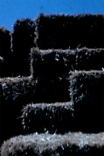Hey! movie poster - Rated 7/10