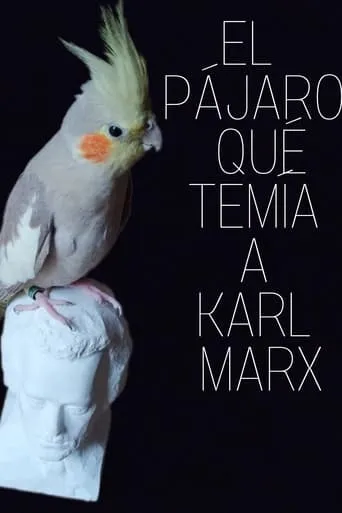 El pájaro que temía a Karl Marx movie poster - Rated 10/10