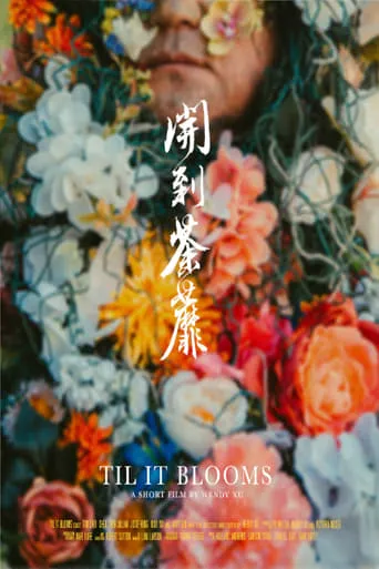 Til It Blooms movie poster - Entertainment content