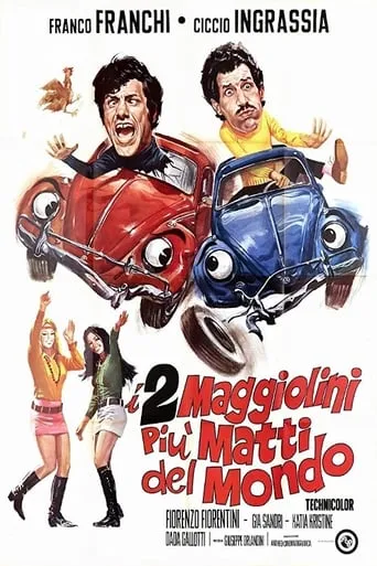 I due maggiolini più matti del mondo movie poster - Rated 5.3/10