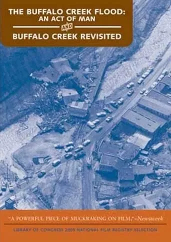 Buffalo Creek Revisited movie poster - Entertainment content