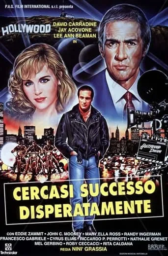 Desperately Looking For Success movie poster - Rated 1/10