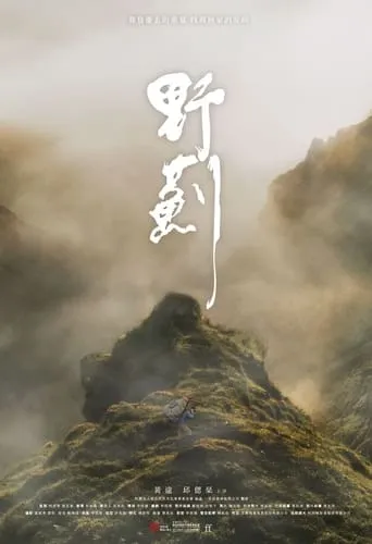 The Way Home movie poster - Entertainment content