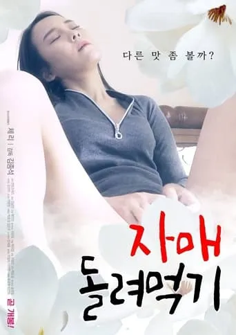 Spinning Sisters movie poster - Rated 4/10