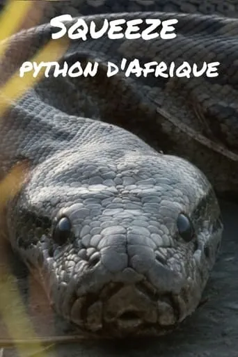 Squeeze: African Python movie poster - Entertainment content