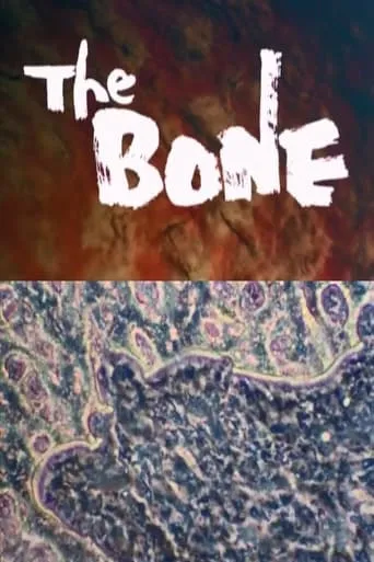 THE BONE movie poster - Entertainment content