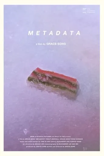 Metadata movie poster - Entertainment content
