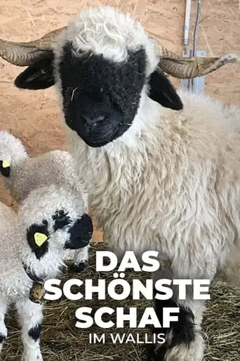 Das schönste Schaf im Wallis movie poster - Rated 8/10