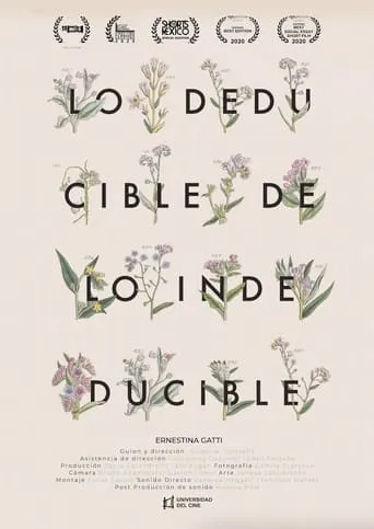 Lo deducible de lo indeducible movie poster - Rated 7/10