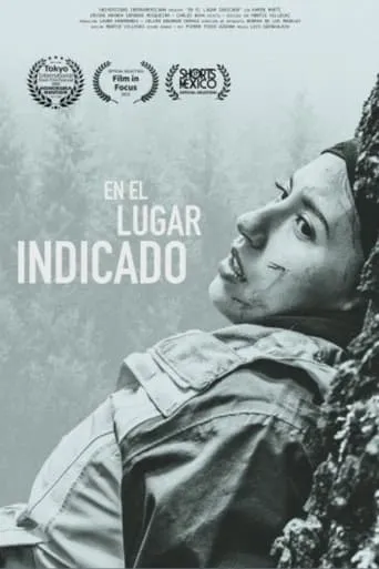 En el lugar indicado movie poster - Entertainment content
