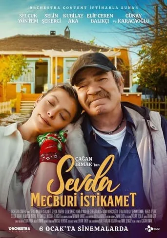 Sevda: Mandatory Direction movie poster - Rated 8/10