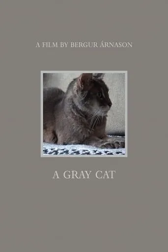 A gray cat movie poster - Entertainment content