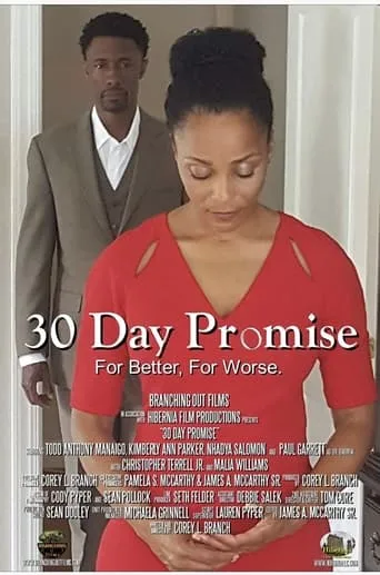 30 Day Promise movie poster - Entertainment content