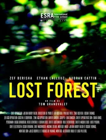 Lost Forest movie poster - Rated 10/10