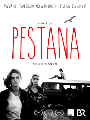 Pestana movie poster - Entertainment content