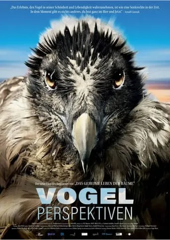 Bird's Eyeview movie poster - Rated 6.5/10