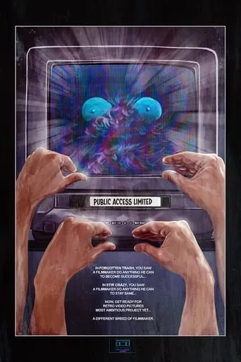 Public Access Limited movie poster - Entertainment content