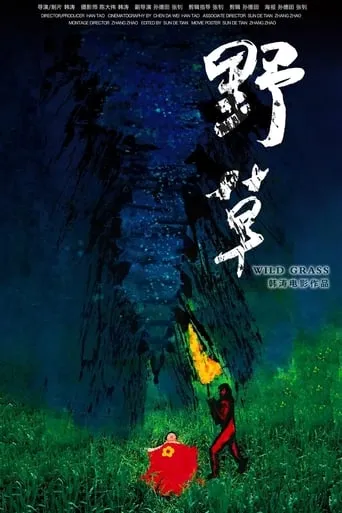 WILD GRASS movie poster - Entertainment content