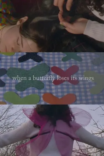 When A Butterfly Loses Its Wings movie poster - Entertainment content