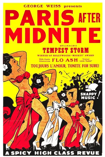 Paris After Midnight movie poster - Rated 1/10