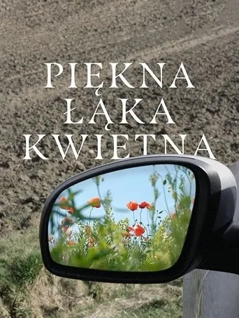 A Beautiful Wildflower Meadow movie poster - Entertainment content