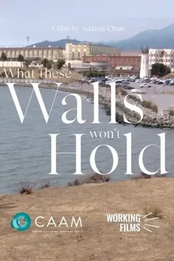 What These Walls Won't Hold movie poster - Entertainment content