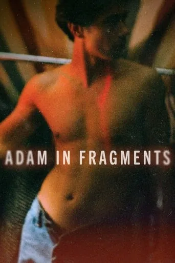 Adam in Fragments movie poster - Rated 1/10