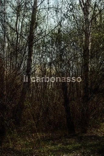 il carbonasso movie poster - Entertainment content