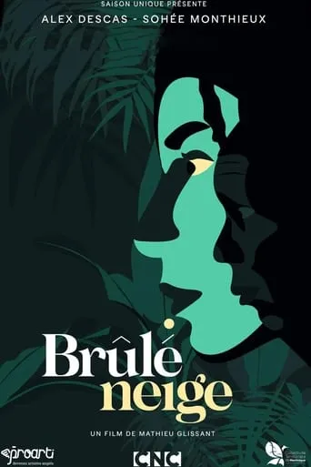 Brûlé neige movie poster - Entertainment content