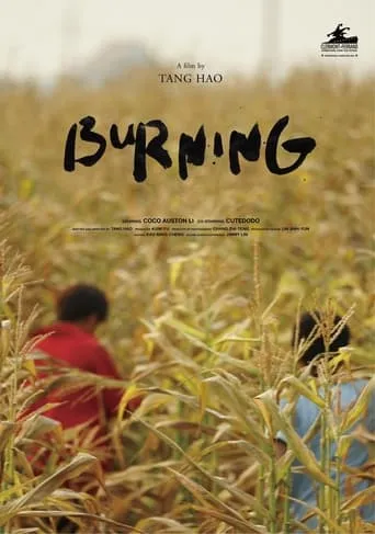 Burning movie poster - Rated 4/10