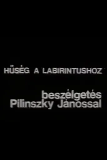 Hűség a labirintushoz – Beszélgetés Pilinszky Jánossal movie poster - Entertainment content
