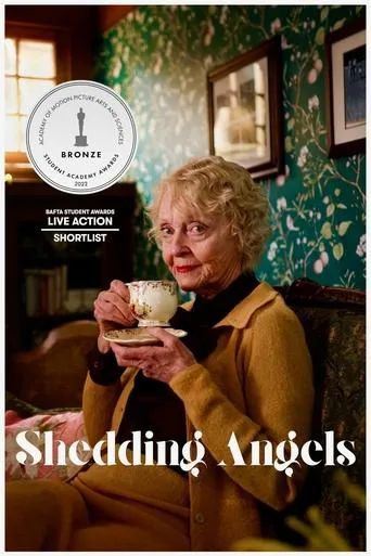 Shedding Angels movie poster - Entertainment content