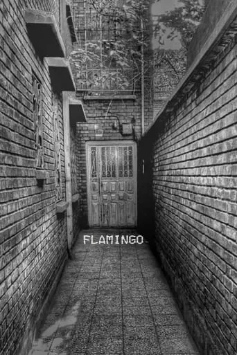 Flamingo movie poster - Entertainment content