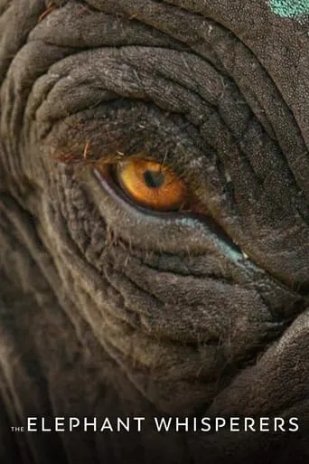 The Elephant Whisperers movie poster - Rated 7.313/10