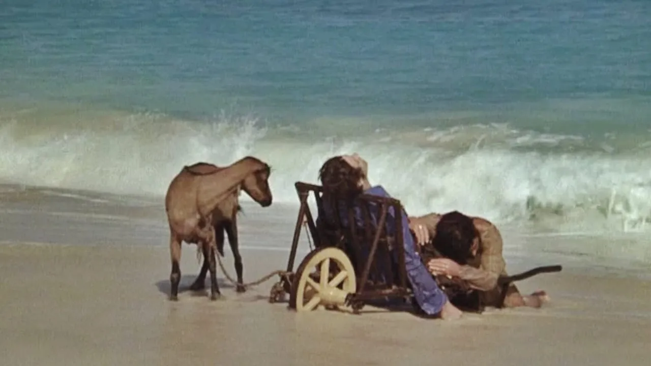 I Will Walk Like a Crazy Horse
